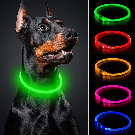 Dog collar