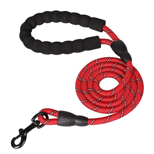 Dog Leash